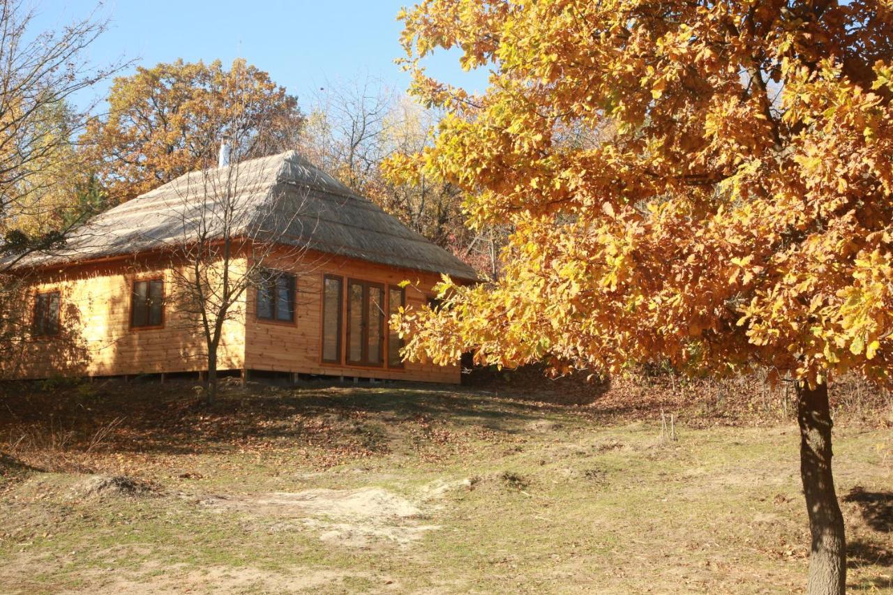 Козацька Фортеця Pliskachevka 외부 사진